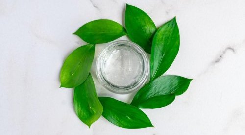 Luxe Pack in green 2021: Who are the finalists?