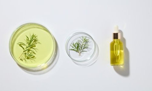 EU scientific committee issues final opinion on tea tree oil in cosmetics