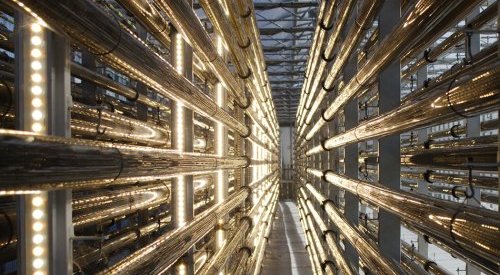 Microalgues : L'Oréal entre au capital de Microphyt qui lève 15 millions d'euros