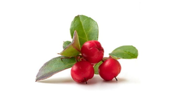 Neosalyl, the natural substitute for synthetic salicylic acid