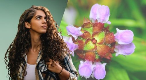 BASF Personal Care lance Ameriflor Calm pour renforcer les peaux sensibles