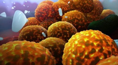 L'Oréal s'allie avec Micreos pour créer des soins ciblant le microbiome cutané