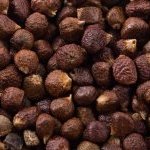 Également appelée maniguette, malaguette, méléguette, graines de paradis, poivre de Guinée ou graines de Guinée, la plante de paradis (Aframomum melegueta) est très proche de la cardamone et appartient à la même famille botanique que le gingembre.