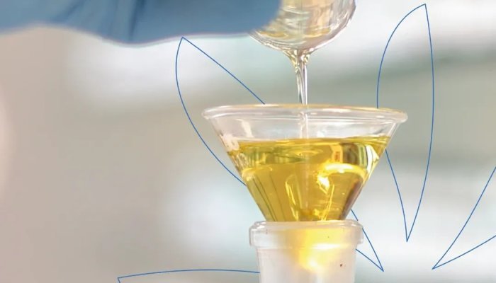 Olivante, Eurofragance's new, opulent and upcycled fragrance ingredient