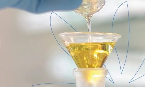 Eurofragance dévoile Olivante, un nouveau captif, opulent et upcyclé