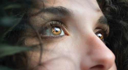 Barentz to distribute Berkem's cosmetic ingredients in the USA and Canada