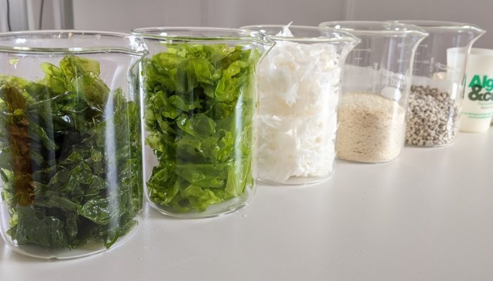 Somater s'allie à Eranova pour créer des emballages polymères à base d'algues