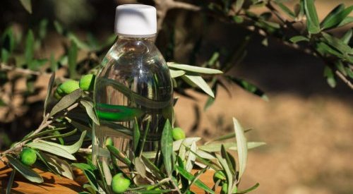 Sophim: a virtuous, sustainable squalane derived from olive cultures