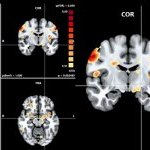  Brain Impact Neuroscience : des protocoles scientifiques sur mesure (Photo : Brain Impact Neuroscience)