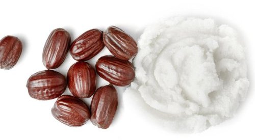 Vantage pense aux peaux sensibles avec un ester de jojoba multifonctionnel