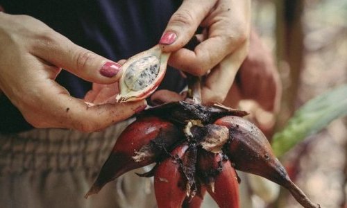 Lautier 1795 resumes commercializing its fragrance ingredients