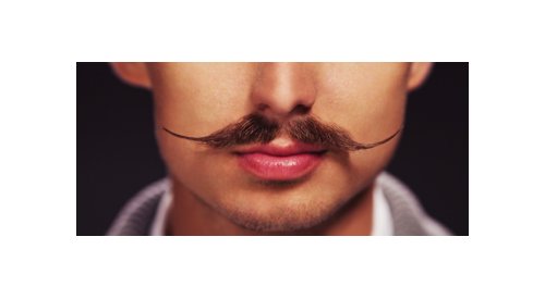 Les humains aussi ont du nez (étude)