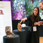 Luxe Pack - Édition Spéciale: The eco-design packaging show gets a makeover (Photo: Luxe Pack - Special Edition)
