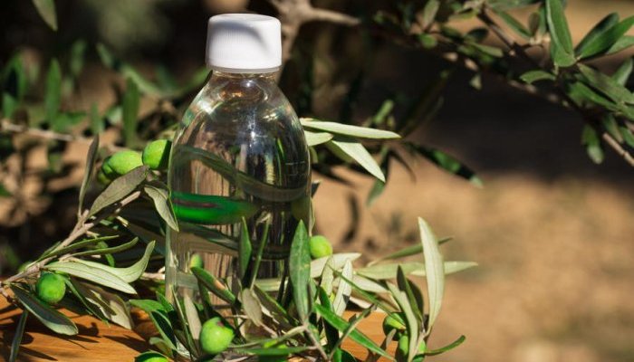 Sophim : Un squalane végétal, durable et vertueux issu de la culture de l'olive