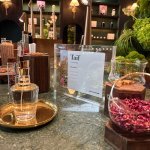 Po ONE Lab opens with a two-day program in February 2026, beginning with a private inauguration for industry partners, media, and VIP guests, followed by a public exhibition (Photo: dsm-firmenich)