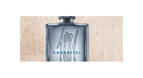 Designer Parfums reorganises their leadership