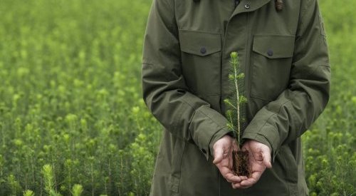 Les actions de durabilité de Metsä Board distinguées par EcoVadis