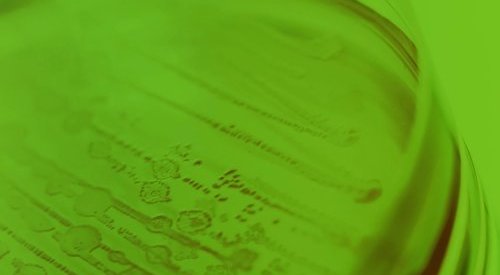 Apoena Biotech inks deal with Greenact to distribute ingredients in Brazil