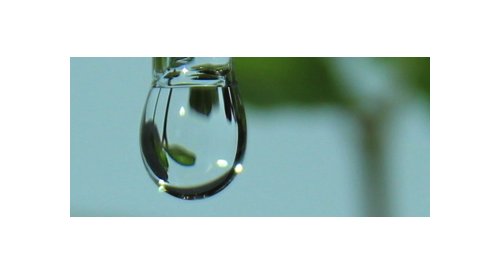 Capsum explores the green trend and invests in the US