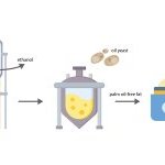 Mibelle Group and LanzaTech pioneer palm oil alternatives from captured CO₂ (Photo: courtesy of Mibelle Group)