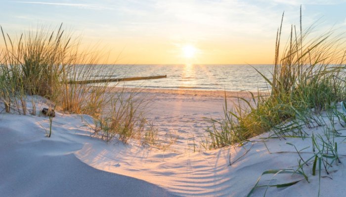 Symrise's SymSol ProSun facilitates development of high SPF products