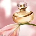 Brazil's O Boticário launches its Perfumery Club in Grasse, France (Photo: O Boticário)
