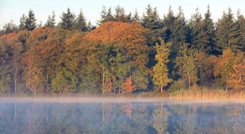 Croda and Anomera collaborate to create innovative cosmetic ingredients