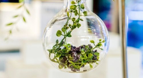 L'Oréal rejoint Unilever et Kao dans un projet de tensioactifs biosourcés