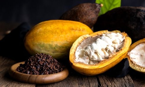 Nutraceutique : Berkem mise sur le pouvoir du cacao sur les émotions