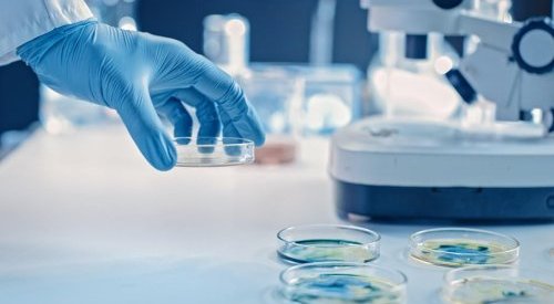 Eurofins acquiert Bioskin et se renforce comme leader des tests cosmétiques