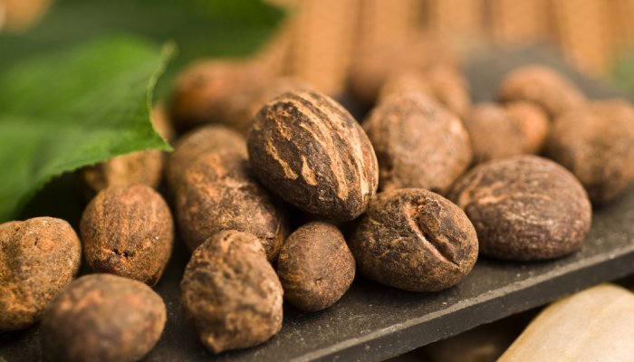 Raw materials: Nigeria bans raw shea nut export to spur local industry growth