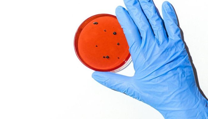 Skinobs lance une plateforme Preclinical Testing