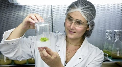 Seppic showcases new efficacy insights for its marine active ingredients