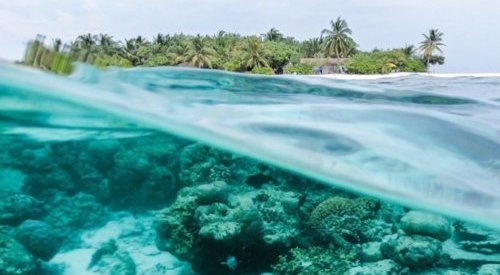 TechnicoFlor poursuit son engagement RSE et rejoint 1% For The Planet