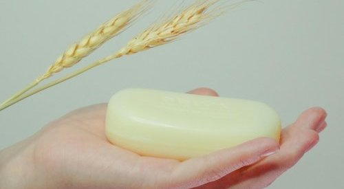 Cosm'Agri Business Day : Vers des circuits courts pour le sourcing cosmétique