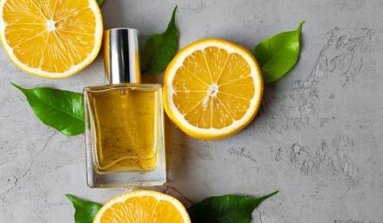 Classification of perfume ingredients: the Scentree website redesigned