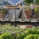 Un jardin de plantes à parfum sur le toit de Paris Expo Porte de Versailles (Photo : Kim Redler / Viparis ©)