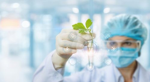 Le consortium ADN & Cosmétique accueille de nouveaux membres