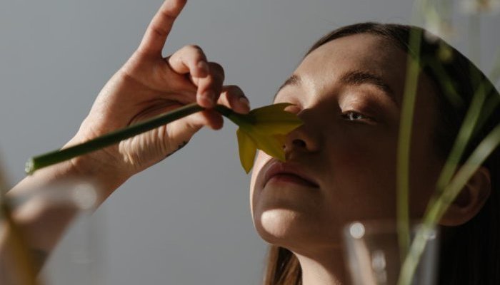 Le sort des filières de plantes à parfum post Covid-19