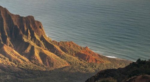 Biodiversité : La FEBEA publie un guide des bonnes pratiques