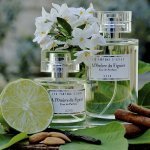 Coverpla accompagne le développement des Parfums d'Uzège avec des solutions d'emballage clefs en mains (Photo : Courtesy of Parfum d'Uzège)