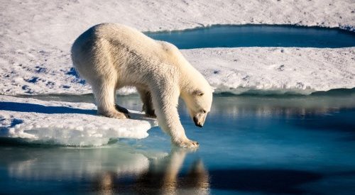 Des pôles aux eaux souterraines, des polluants éternels partout dans la nature