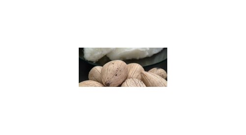 Beraca's new Brazilian ingredients hit the market