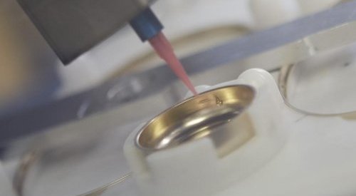 Texen structure son activité sur le segment des spiritueux