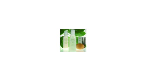 ADA Cosmetics va distribuer les produits Aveda en hôtellerie
