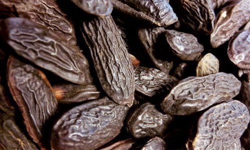 LMR adds Tonka Bean CO2 Absolute to its line conscious perfume ingredients