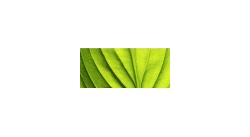 in-cosmetics: greener than ever?