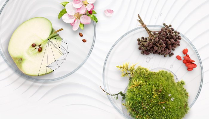 Mibelle Biochemistry s'empare de Mirexus Inc. et élargit son offre