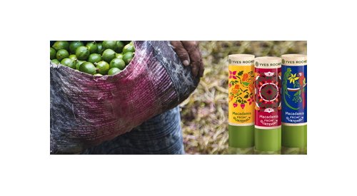 Yves Rocher : Des baumes lèvres à base d'huile de macadamia