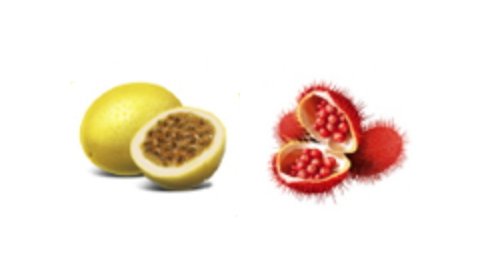 Beraca launches sensorial panel of natural oils